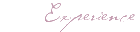 Experience